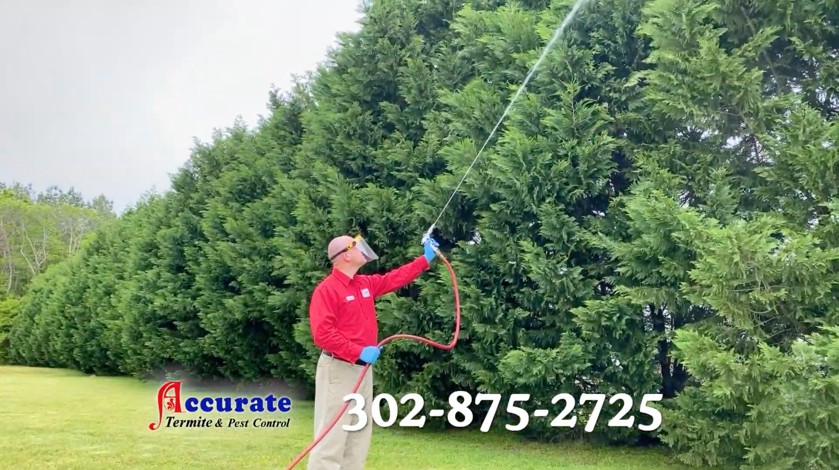 Tree Health & Bagworm Treatment in Dover, DE